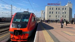 Рельсовый автобус из Белгорода в Воронеж начнёт курсировать по пятницам
