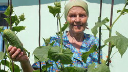 Бабушка Рая отметила 77-й день рождения в кругу юных волонтёров