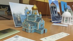 Сотрудники Ставропольской библиотеки представили экспозицию для незрячих