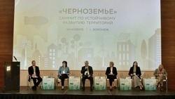 Михаил Лобазнов принял участие в саммите по устойчивому развитию территорий «Черноземье»