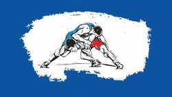 Чемпионат Белгородской области по греко-римской борьбе пройдёт в Губкине