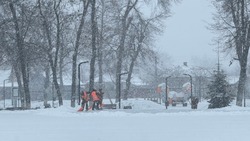 Вячеслав Гладков поручил увеличить количество снегоуборочной техники в крупных городах региона