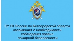 Белгородский следственный комитет напомнил о необходимости соблюдения правил пожарной безопасности