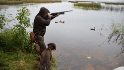 Охота оказалась под запретом в Белгородской области