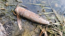 Очевидец нашёл снаряд на берегу водоёма в губкинском селе