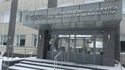 Следком напомнил об  усиленной профилактике детского травматизма в холодное время года