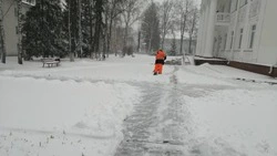 Власти напомнили губкинцам о соблюдении правил благоустройства зимой