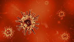 Шесть новых случаев заражения коронавирусом произошло в России