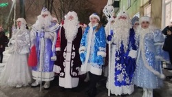 Коллектив ЦКР «Лебединец» принял участие в торжественном открытии новогодних праздников