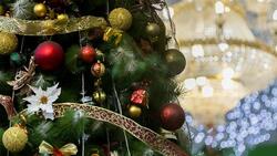 Белгородская область проведёт фестиваль «Новогодние чудеса» в детской областной больнице