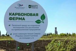 Металлоинвест направил более 26 млрд рублей на природоохранную деятельность в 2024 году
