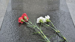 Возложение цветов к памятникам погибшим воинам пройдёт в Губкине 5 февраля