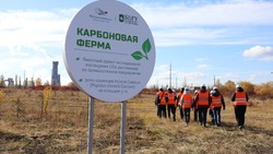 На Лебединском ГОКе заложили карбоновую ферму