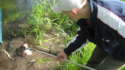 Экоотряды оценили состояние воды и почвы в Губкине