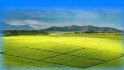 100% сведений об особо охраняемых природных территориях внесено в ЕГРН в Белгородской области