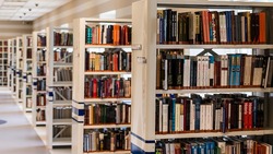 Российское правительство направило 30 млн рублей на создание модельных библиотек в регионе