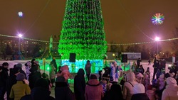 Губкинцы провели новогодние каникулы весело