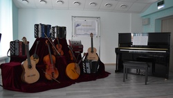 Музыкальная школа Губкина получила новые инструменты