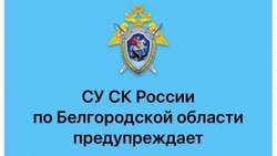 Следственный комитет напомнил о способах дистанционного мошенничества