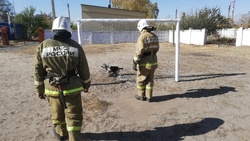 Спасатели вызволили запутавшуюся в футбольных воротах собаку