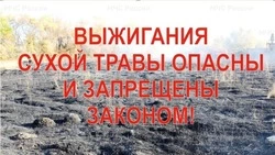 Виновные в поджогах сухой травы в регионе понесли наказаниe
