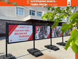 Фотодокументальная выставка «Поклон тебе, Великая Победа!» размещена на центральной площади Губкина