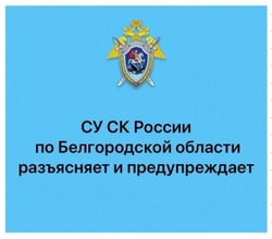 Следственный комитет напомнил о способах дистанционного мошенничества