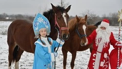 Жители Губкинского городского округа поделились своими планами, мечтами и надеждами