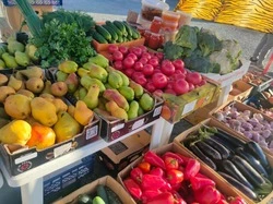 Губкинцы могут посетить муниципальные ярмарки 25 и 26 октября