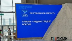 Неделя Губкинского городского округа стартовала на Международной выставке-форуме «Россия»