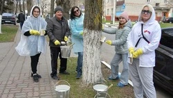 Губкинцы продолжают наводить чистоту и порядок в общем доме