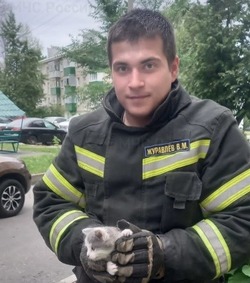 Сотрудники МЧС спасли котёнка в Губкине