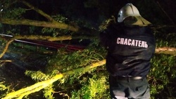 Ветер сорвал крышу с больницы в Белгородской области