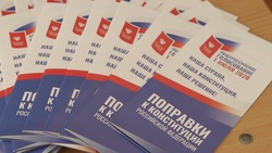 Более 976 тысяч белгородцев приняли участие в голосование по поправкам в Конституцию