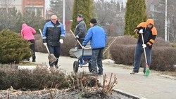 Губкинцы приняли активное участие в первом масштабном субботнике