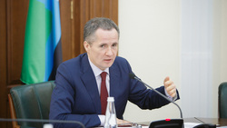 Вячеслав Гладков сообщил о снижении тарифов на обслуживание газового оборудования 1 апреля