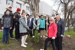 Губкинцы присоединились к акции «Сад памяти»