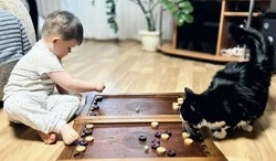 Губкинский дошкольник стал призёром конкурса с работой «Лапки дружбы – игры с Барсиком»