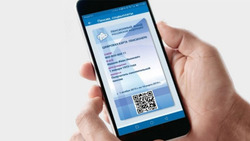 Цифровой аналог пенсионного удостоверения появится в мобильном приложении