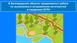 Работа по выявлению и исправлению неточностей в сведениях ЕГРН продолжилась в Белгородской области 