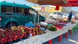 Губкинцы смогут посетить ярмарочные мероприятия 4 и 5 апреля