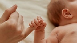 Вячеслав Гладков поздравил молодых родителей с рождением 2 690 младенцев в 2024 году