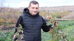 Победитель губернаторского проекта «Новые возможности 6.0» развивает свой агробизнес