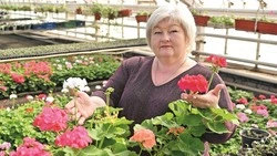 Цветочная симфония Губкина: как маленькие ростки превращаются в пышные цветы