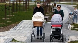 Вячеслав Гладков: в семьях участников СВО родилось 360 детей в 2024 году
