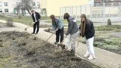 Губкинский кадровый центр трудоустроил 113 подростков на весенних каникулах