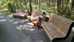 Сотрудники «Губкин-Зеленстроя» установили новые скамейки и урны в общественных местах