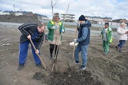 Губкинцы активно участвуют в месячнике добровольного служения Белгородской области
