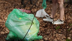 Белгородская область сократит использование пластика