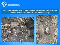 Об уничтожении или повреждении геодезических пунктов теперь нужно сообщать в ППК «Роскадастр»